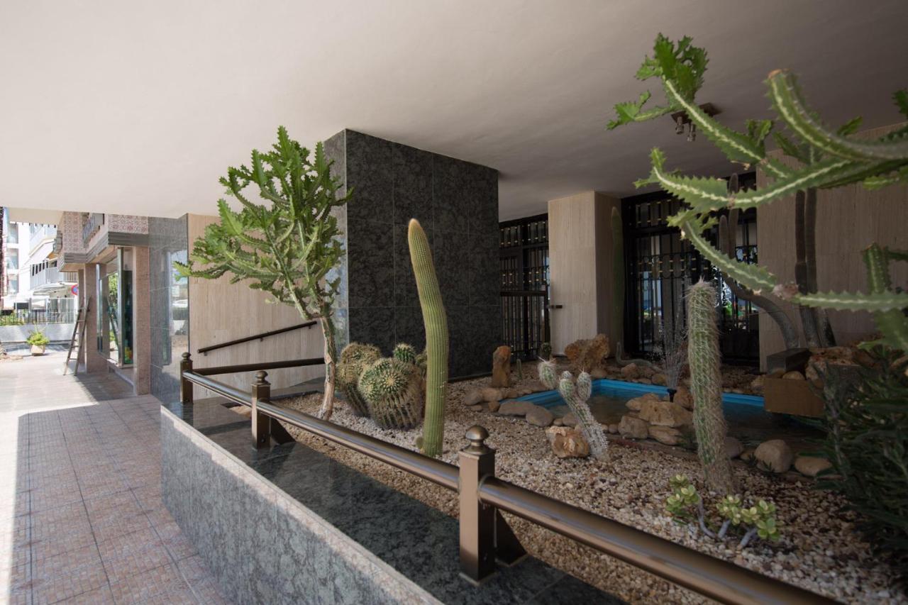 Las Palmeras 15a Apartamento Benidorm
